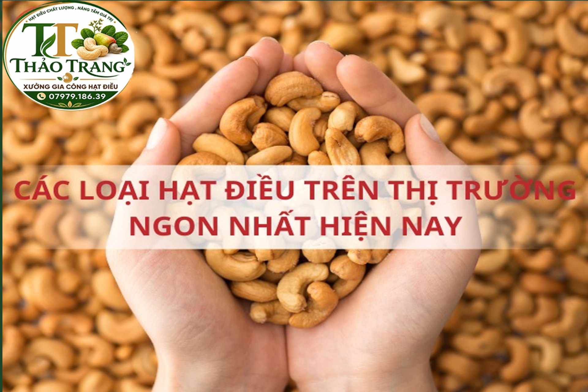 Tiêu chuẩn và cách phân loại hạt điều hiện nay