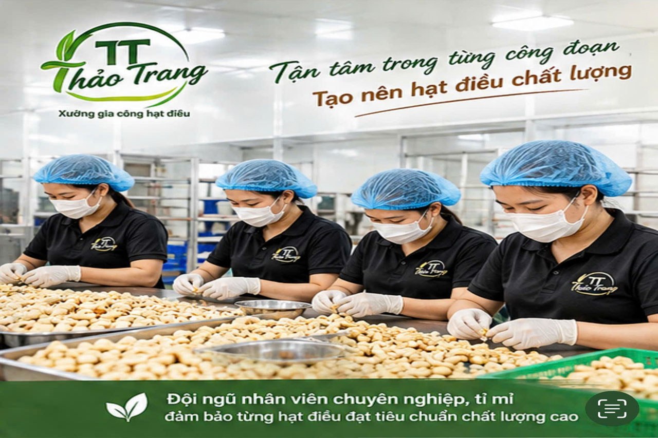 Các loại hạt điều ngon nhất Việt Nam