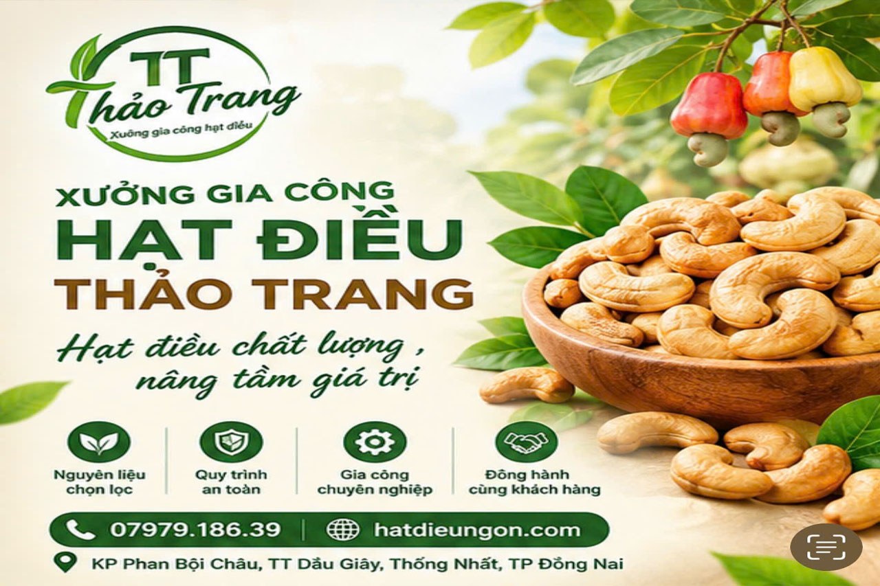 Đồng Nai: Nơi có hạt điều 'ngon nhất thế giới'