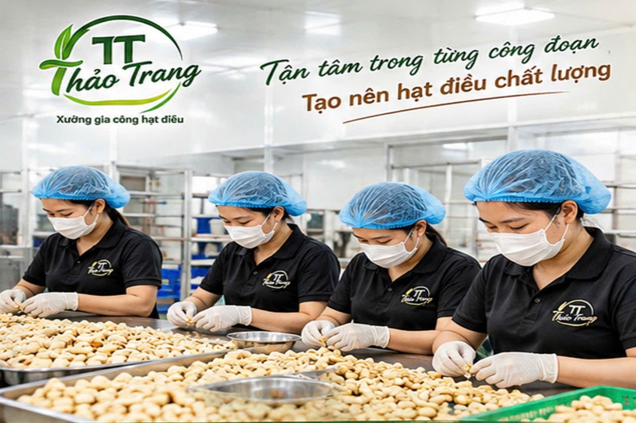 Xưởng Thảo Trang 2