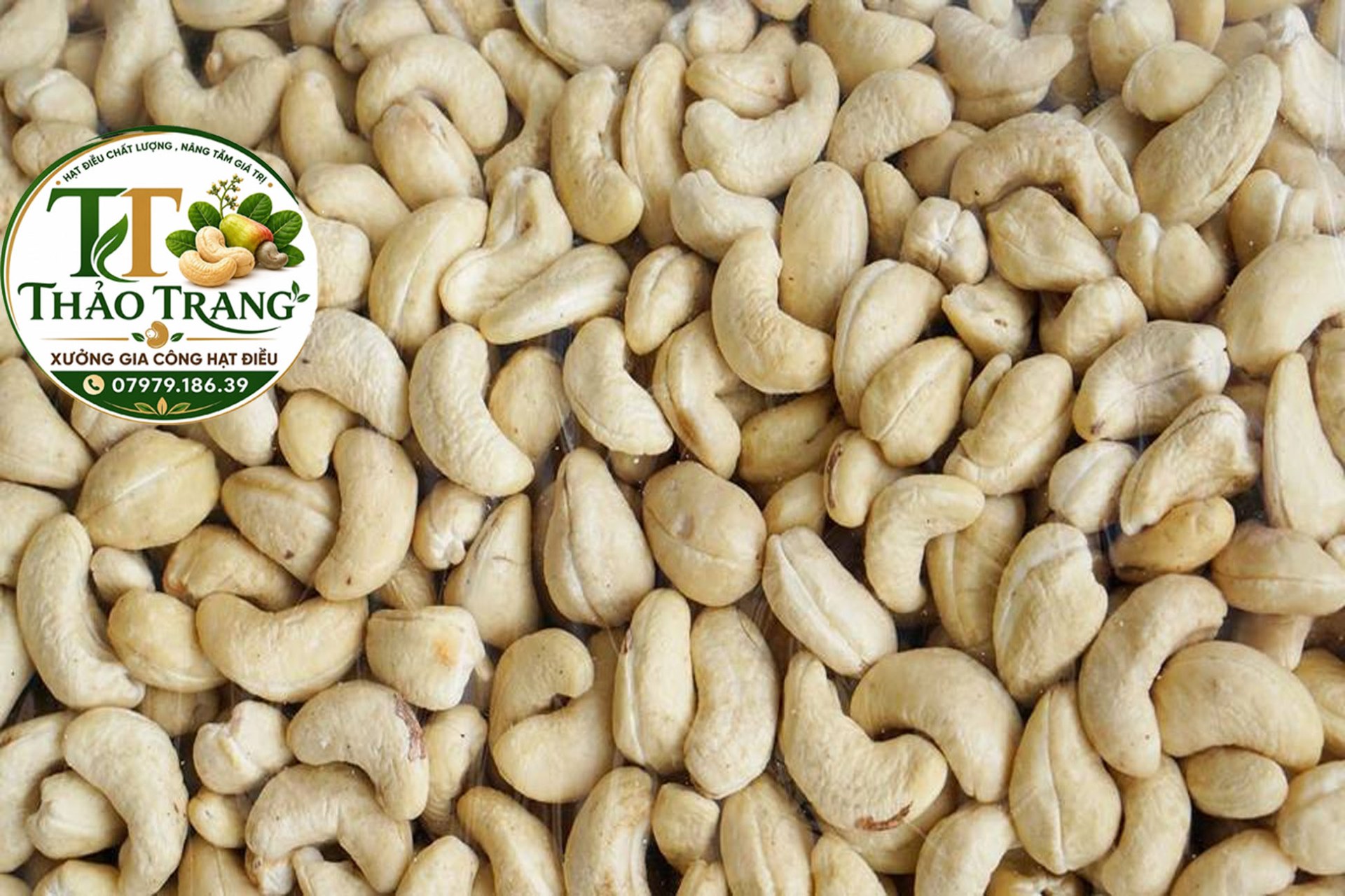 Hạt Điều Có Mấy Loại? Cách Phân Loại Hạt Điều Trên Thị Trường Hiện Nay?