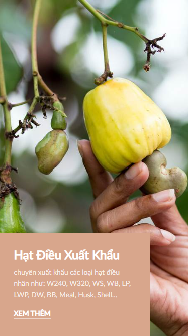 Hạt điều ăn sống được không? Công dụng và lưu ý khi ăn