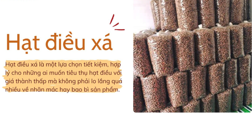 Hạt Điều Xá – Đặc Điểm, Ưu Nhược Điểm Và Thông Tin Cần Biết